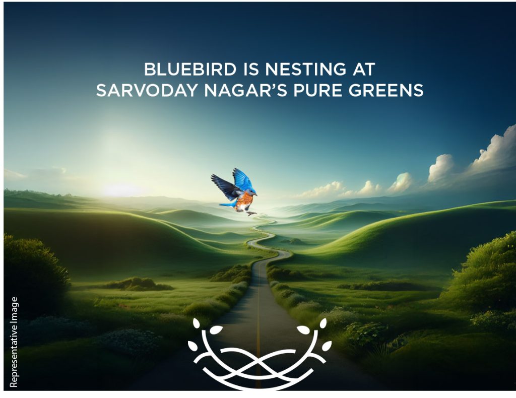 Arkade Tower Bluebird